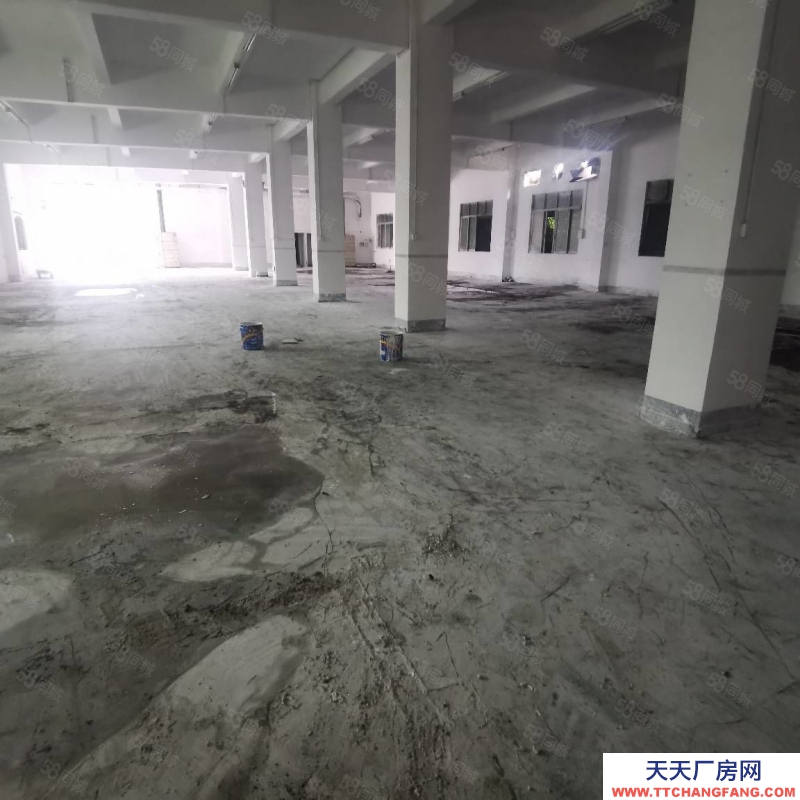 (出租) 深圳龍崗平湖木古地鐵口附近新出5000平獨門獨院廠房倉庫500平起租