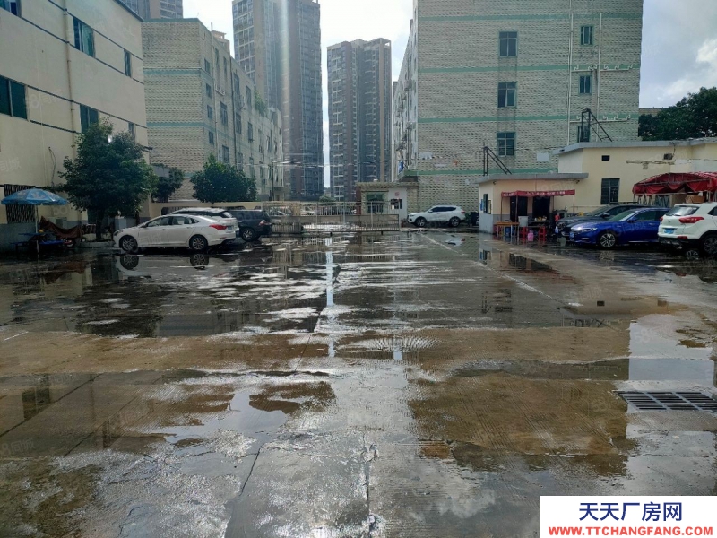 (出租) 深圳龍崗坪山新出獨(dú)棟10000平方廠房大小可以分租