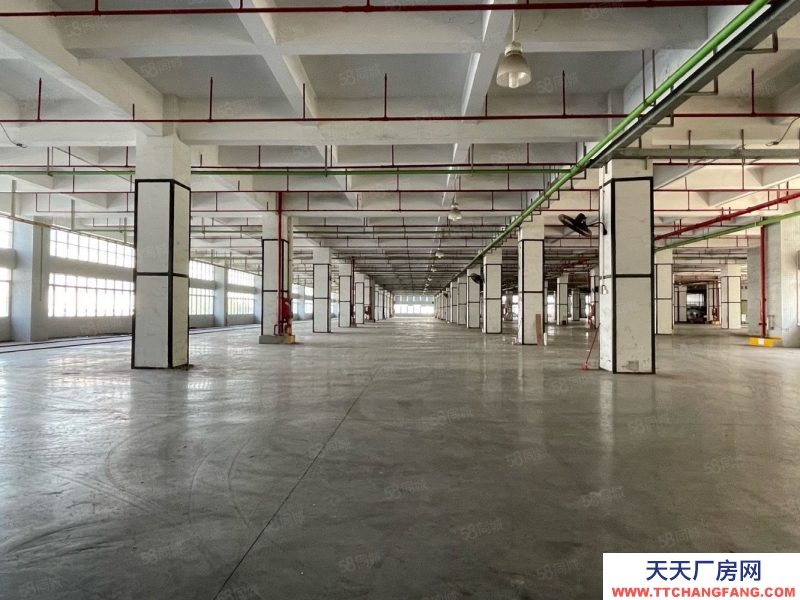 (出租) 深圳鹽田獨門獨院4萬平方廠房倉庫出租,空地大,帶貨臺,可分租