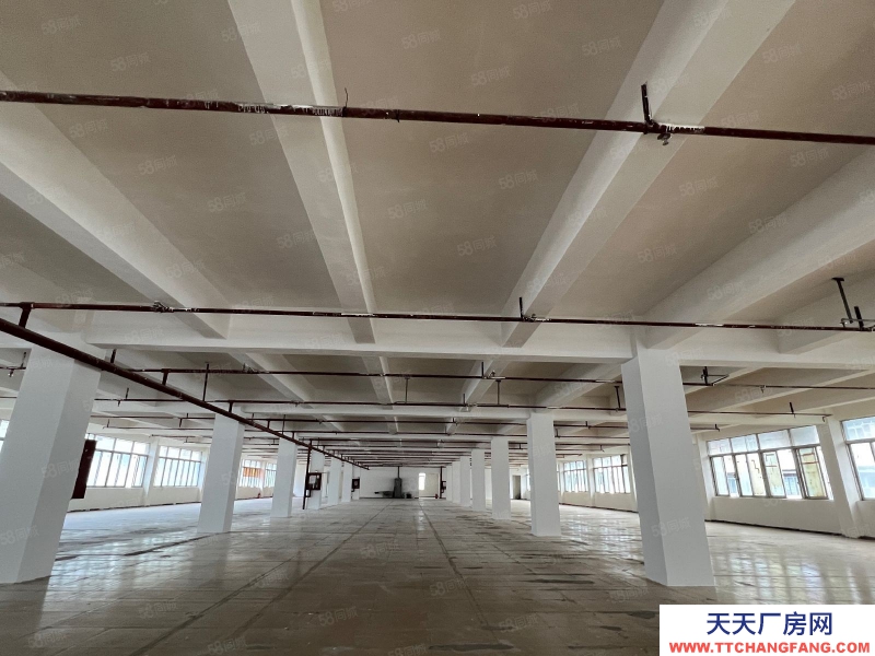 (出租) 房東直租，深圳鹽田沙頭角房產(chǎn)證面積2100平廠房出租