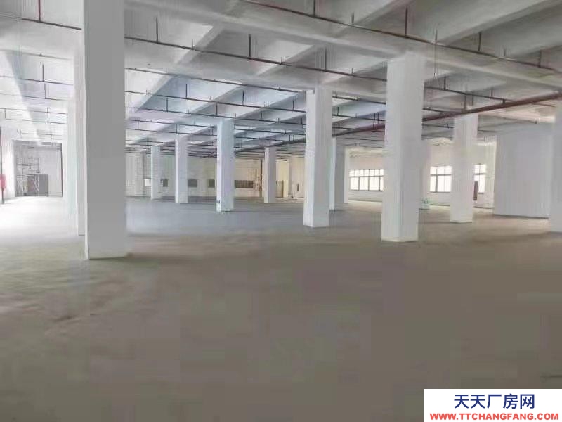 (出租) 房東直租，深圳鹽田新出4000平廠房 200平起分租