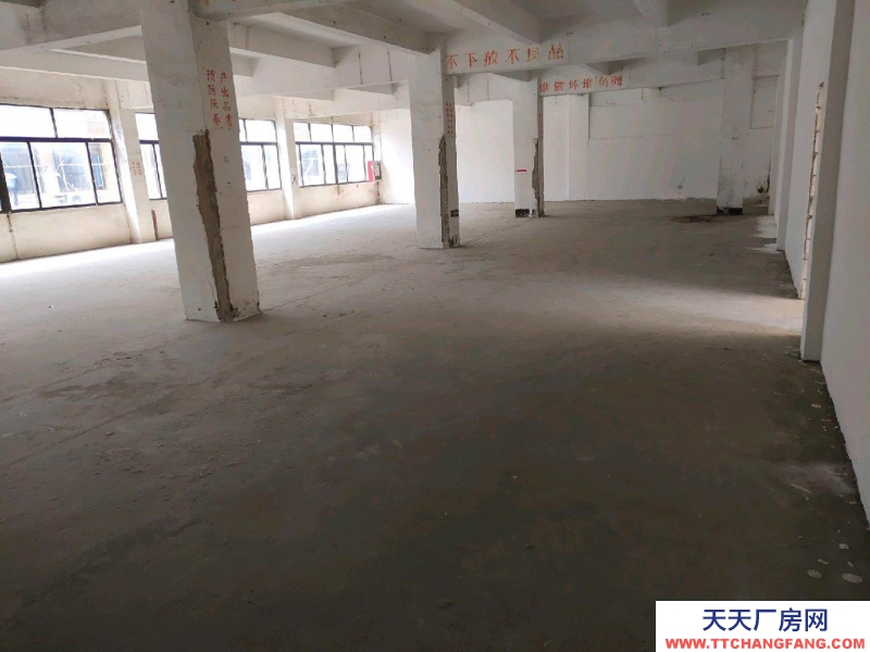 (出租) 深圳鹽田獨院廠房，車位充足。