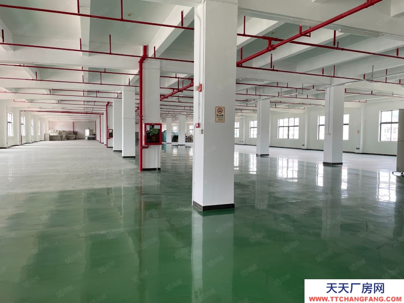 (出租) 深圳鹽田工業園獨棟5000平辦公室倉庫廠房出租