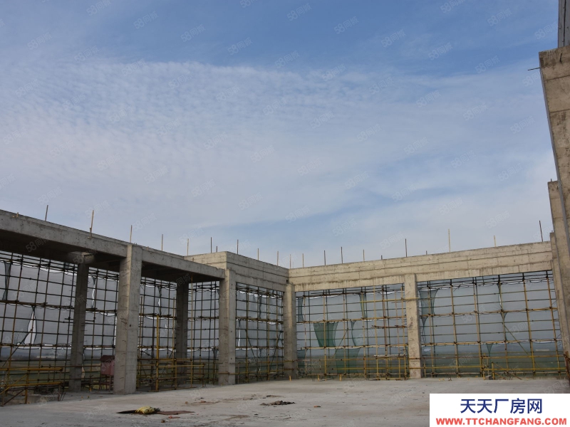 青島即墨出售 可生產(chǎn) 研發(fā)辦公 50年大產(chǎn)權(quán)超大柱距 交通便利