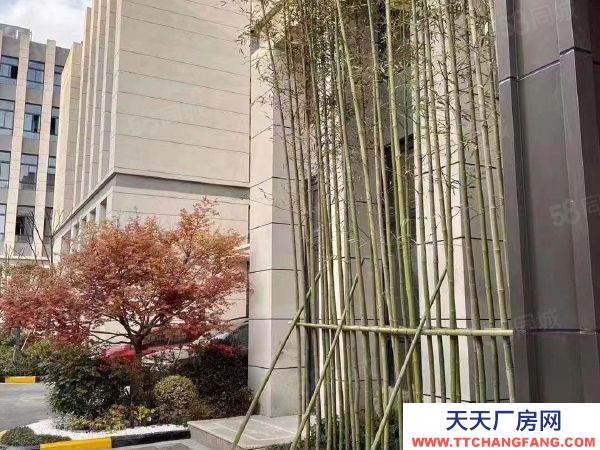 南京市玄武區開發區九龍湖東南大學旁 全新兩證園區廠房出售 兩證全