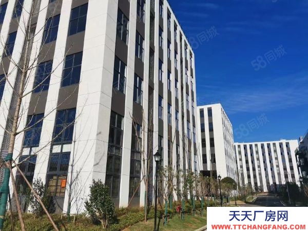 長沙市開福區軍民融合產業智能制造行業生物醫藥行業醫療器械電子商務