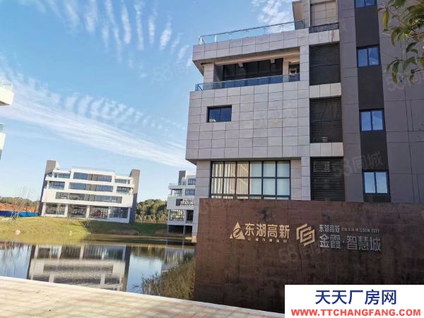 長沙市開福區軍民融合產業智能制造行業生物醫藥行業醫療器械電子商務