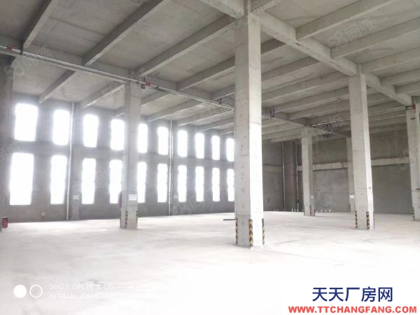 南京市玄武區(qū)地鐵口八米現(xiàn)房廠房，首付10起，可按揭可環(huán)評(píng)