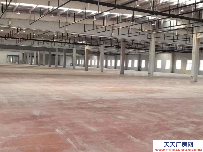 青島即墨區天山一路邢家嶺14000平倉庫直租（可分割，無中介）