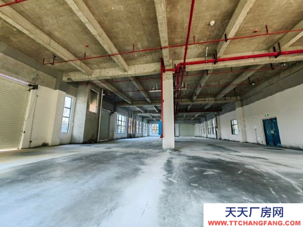 長沙市開福區 灣田附近1700平米一樓廠房出售地鐵高速口