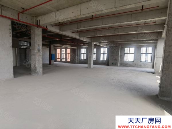 長沙市開福區老百姓國藥總部旁廠房,現房,1萬平,可過G