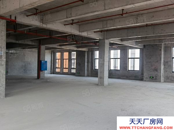 長沙市開福區老百姓國藥總部旁廠房,現房,1萬平,可過G