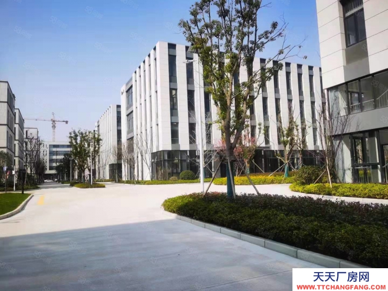 (出租) 合肥廬陽智造創新產業城！政策扶持！核心地段！配套齊全！