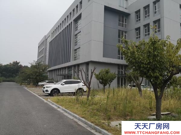 南京市玄武區福中現在大面積廠房 寫字樓對外出租 面積大小可分割