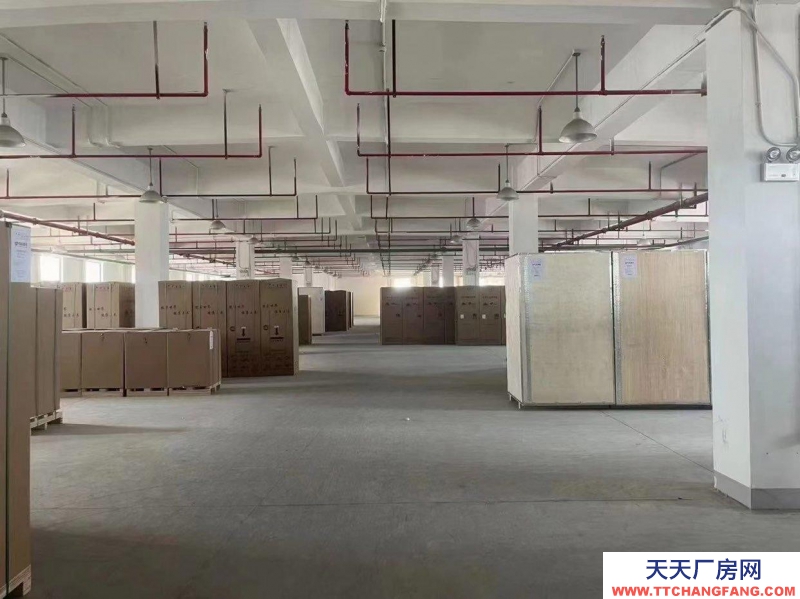 (出租) 合肥廬陽有樓庫1600平方，二樓，丙二類，