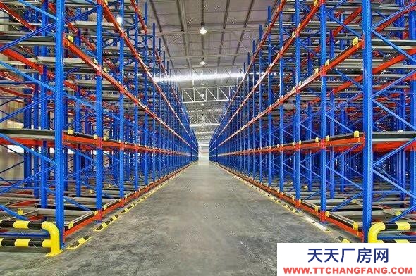 (出租) 合肥廬陽倉配一體化定制化云倉