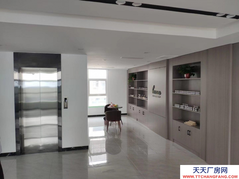 石家莊  藁城 直播帶貨，科技研發，總部辦公，招待展廳