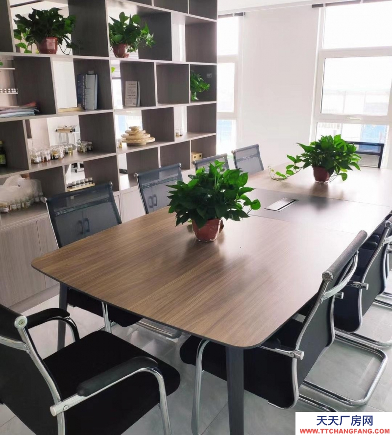 石家莊  藁城 直播帶貨，科技研發，總部辦公，招待展廳