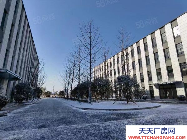 南京市溧水永陽核心區 50年產權廠房 600平起