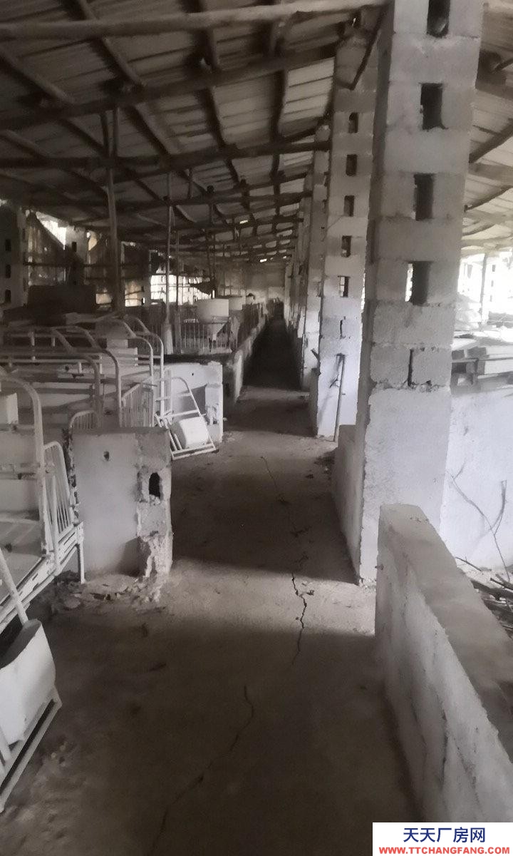 南寧市西鄉(xiāng)塘區(qū)(出租) 養(yǎng)殖場(chǎng)可養(yǎng)狗牛豬雞羊