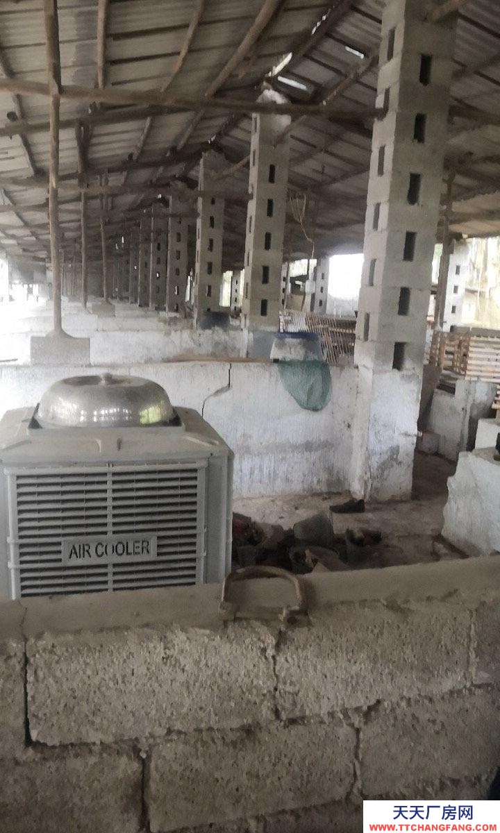 南寧市西鄉(xiāng)塘區(qū)(出租) 養(yǎng)殖場(chǎng)可養(yǎng)狗牛豬雞羊