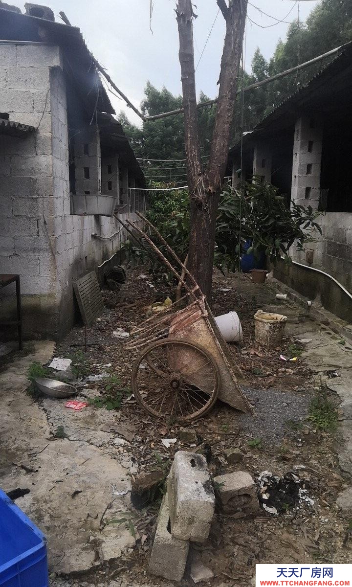 南寧市西鄉(xiāng)塘區(qū)(出租) 養(yǎng)殖場(chǎng)可養(yǎng)狗牛豬雞羊