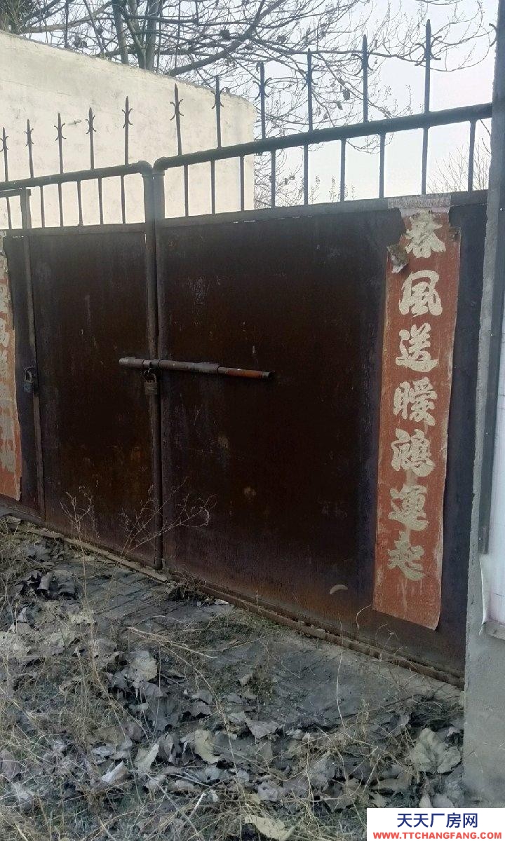 石家莊 晉州 車間。宿舍，無塔供水，變壓器，交通便利