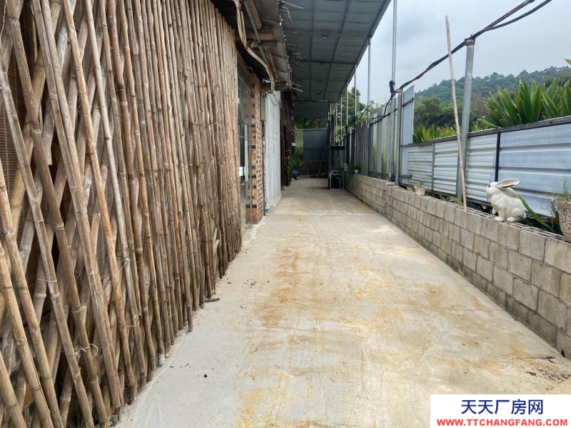 南寧市西鄉塘區相思湖新區100到200平米廠房或倉庫低價出租