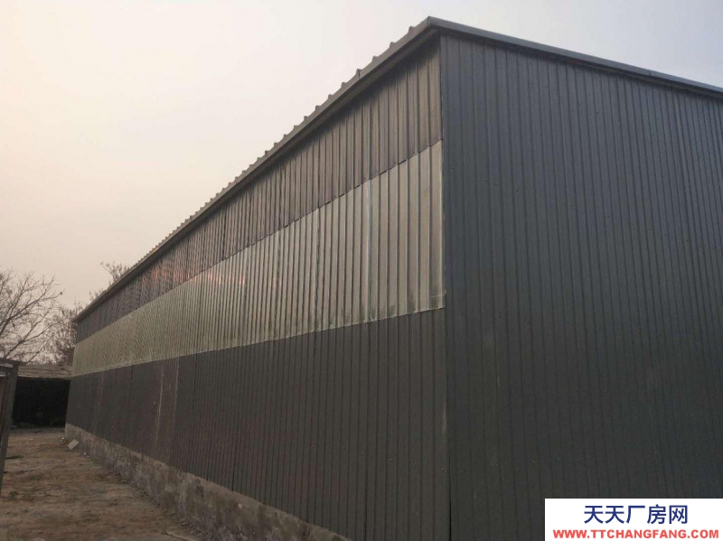 石家莊 晉州 廠房，倉庫，交通便利，價格面議。