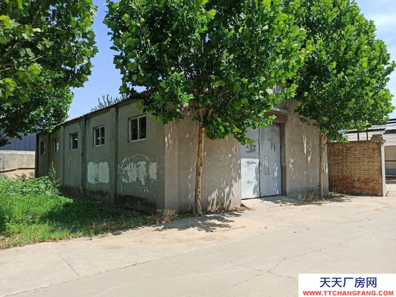 石家莊 晉州  此廠房做車(chē)間但是需要收拾。