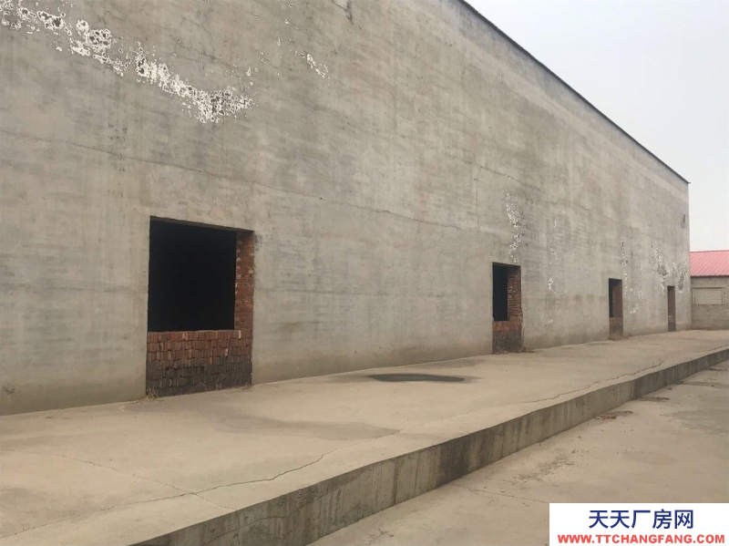 石家莊 晉州 大型庫房，可以做廠房