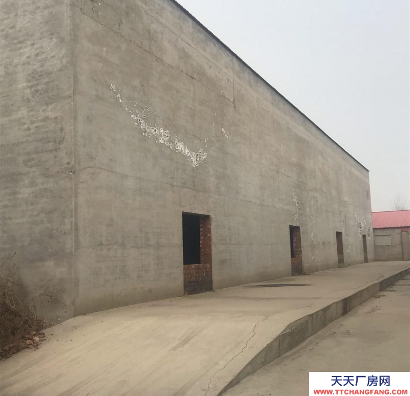 石家莊 晉州 大型庫房，可以做廠房