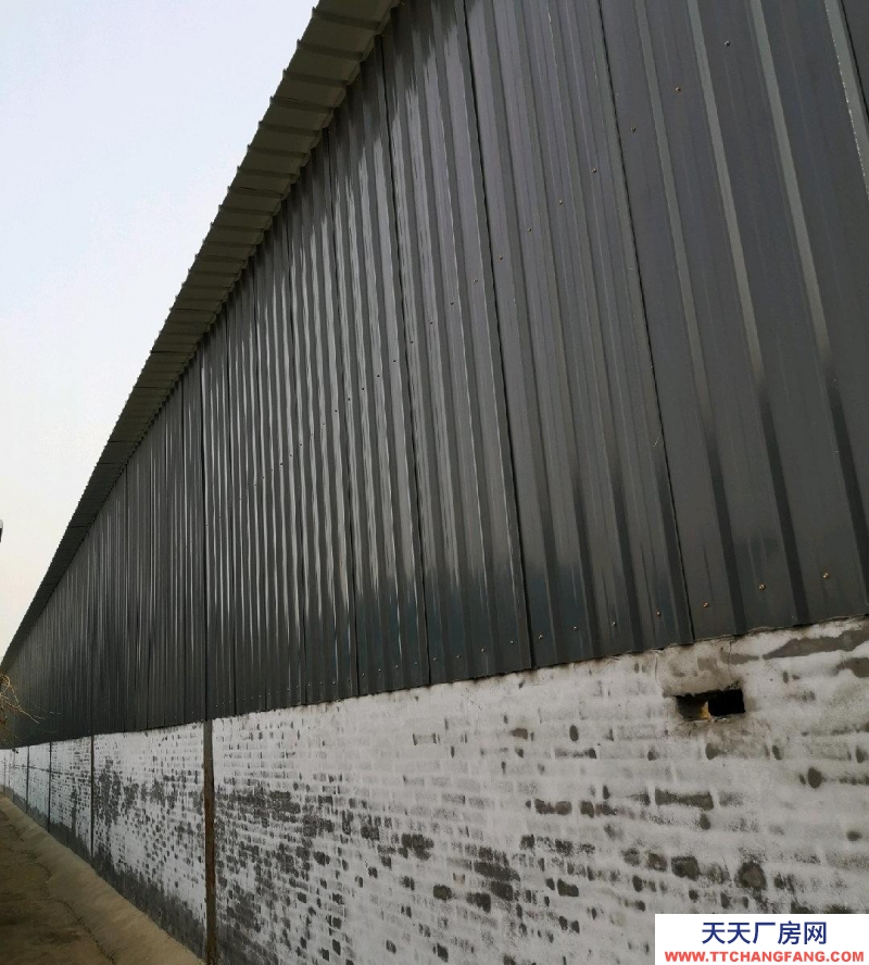 石家莊 晉州 倉庫也可以做廠房歡迎致電