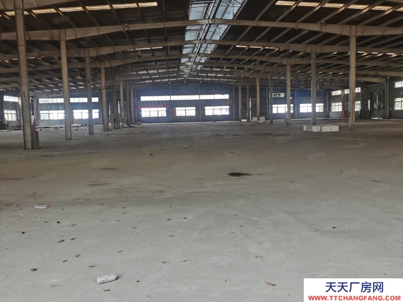 (出租) 合肥瑤海新周谷堆附近標準鋼結構廠房出租