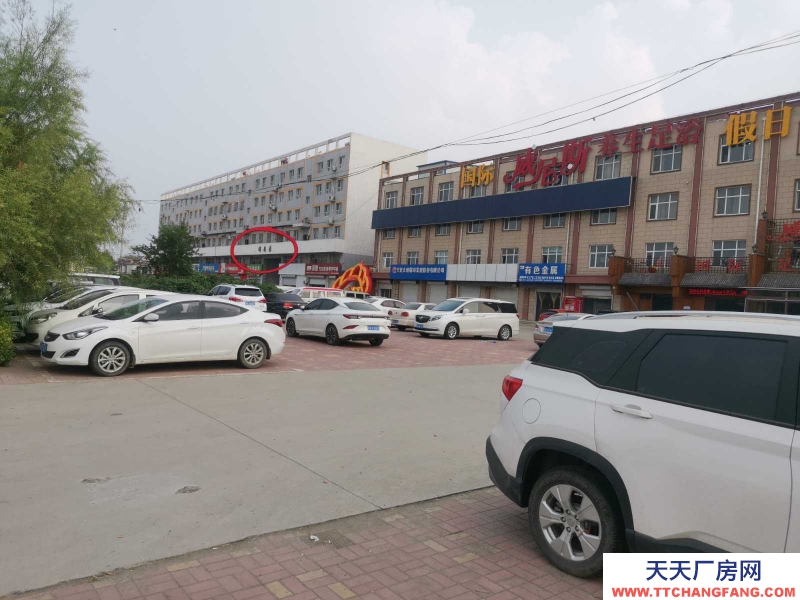 石家莊 晉州 廠房 地庫 車間 倉儲