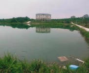 (出租) 宜昌夷陵鴉鵲嶺小鴉路邊地塊出租 廠房 倉庫 農(nóng)家樂 垂釣