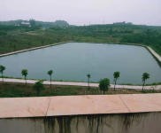 (出租) 宜昌夷陵鴉鵲嶺小鴉路邊地塊出租 廠房 倉庫 農家樂 垂釣