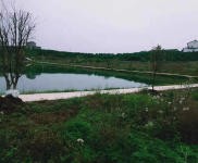 (出租) 宜昌夷陵鴉鵲嶺小鴉路邊地塊出租 廠房 倉庫 農(nóng)家樂 垂釣