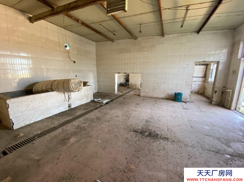 石家莊 新樂  廠房租賃，可接三箱電