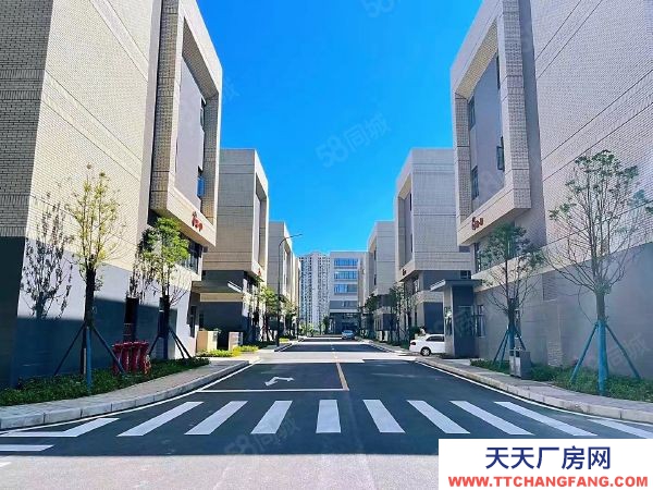 長沙市望城區 億達智造小鎮 標準廠房熱銷中