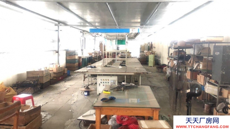 南寧市西鄉塘區(出租) 科園西九路12號、四樓頂樓工業廠房