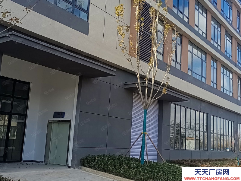 青島平度賣廠房，現房大產權！低首付！可環評！