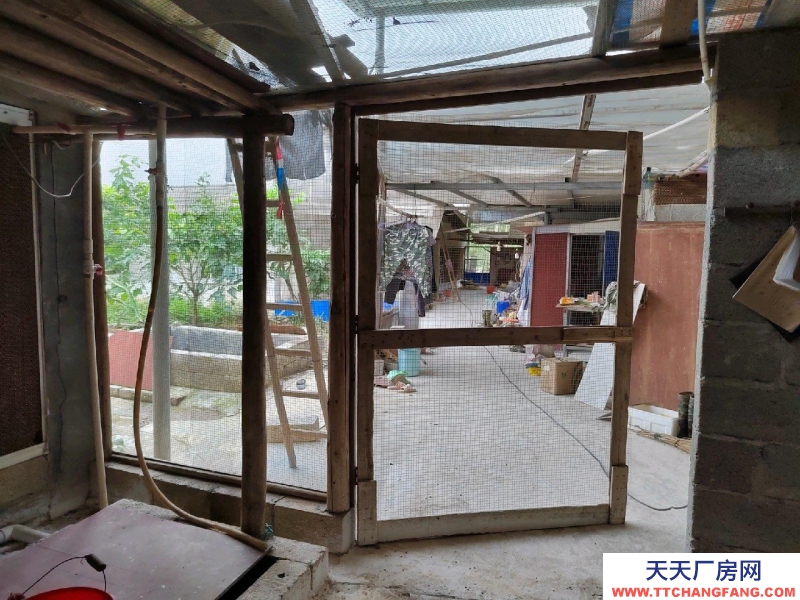 南寧市西鄉塘(出租) 2000平豬場，可放養肉豬1300頭