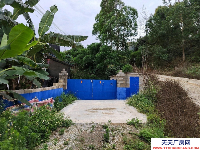 南寧市西鄉塘(出租) 2000平豬場，可放養肉豬1300頭