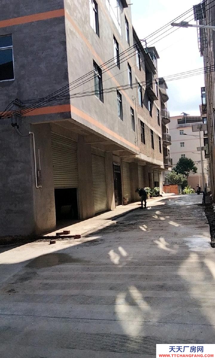 南寧市西鄉塘區(出租) 新房，可做倉庫，可做廠房