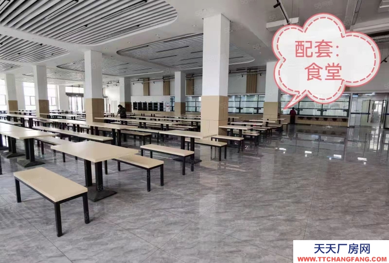 石家莊 鹿泉 獨棟廠房，承載企業總部，高鐵，高速，南三環，主干道沿線