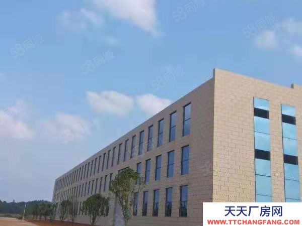 長(zhǎng)沙市寧鄉(xiāng)區(qū) 整租分租單層11米5000平獨(dú)棟廠(chǎng)房