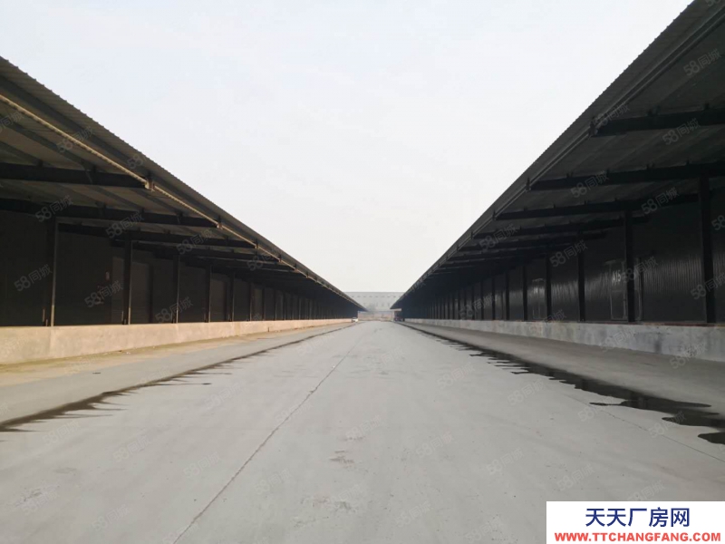 (出租) 超大規(guī)模園區(qū)庫(kù)房招租