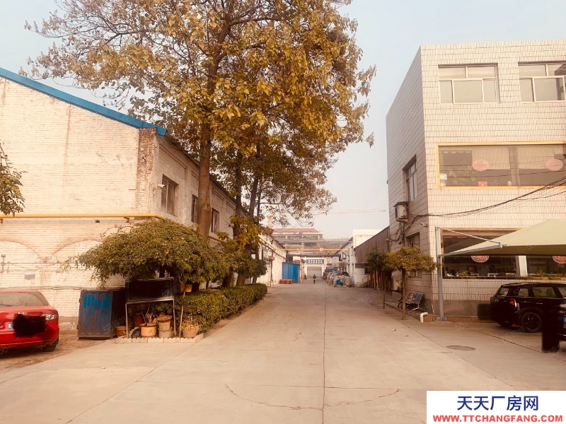 保定 出租或出售市一中附近廠房土地！