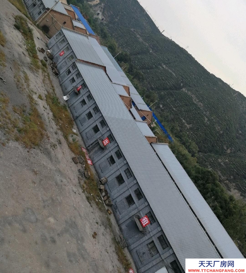 (出租) 大型倉庫，廠房，空院，辦公整場出租